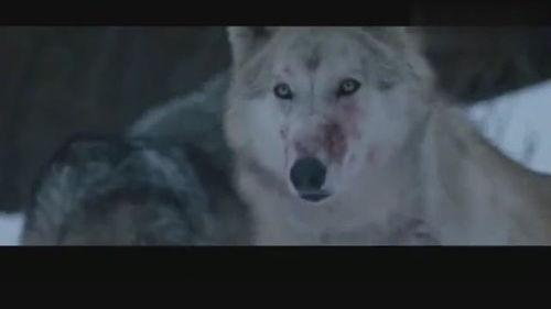 百变日韩公主换装手游 