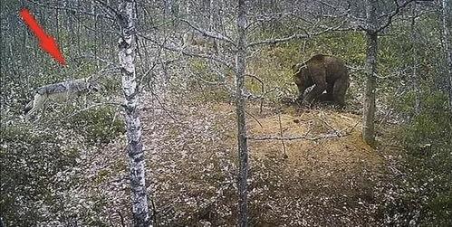 百变日韩公主换装手游 